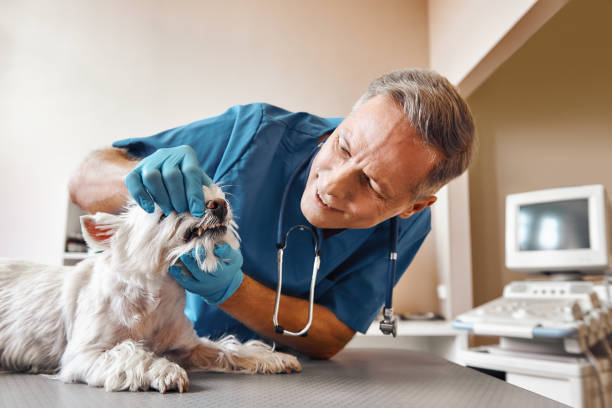 Best Emergency Dental Surgery in Salem, OR